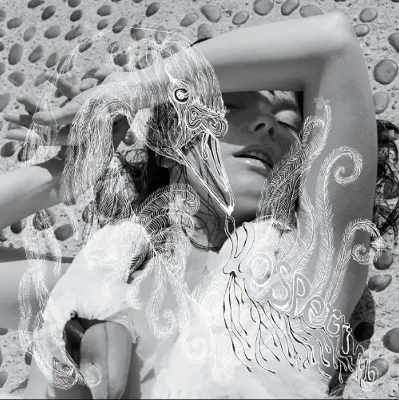 名称：Björk - 2001年专辑 - Vespertine    Flac描述：Vespertine 于 2001 年 8 月发行，是冰岛歌手/词曲作者/音乐家 Björk 的一张专辑