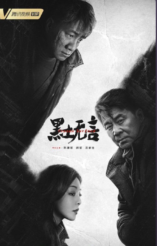 名称：黑土无言 (2024) 4K 全集描述：宁静的东北小城澜河，因一桩离奇杀人案掀起波澜