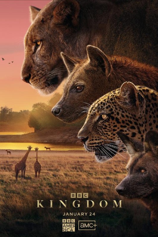 名称：动物王国 (2025) 4K 全集 国英多音轨 简英双语字幕描述：在位于赞比亚腹地的南卢安瓜国家公园，花豹、鬣狗、杂色狼和狮子共同生活在卢安瓜河畔一片名为恩塞富的葱郁之地，这里生机勃勃，是养育后代的理想家园，因此，这里的生存空间十分拥挤