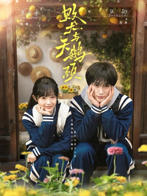 名称：2026年5月3日 短剧更新目录2描述：1.败犬与天鹅颈（71集）张翅＆至春禾2.开局一张藏宝图，我带国宝回家（107集）卢艺煊＆大森3.全家重生，我嚣张一点不过分吧（70集）左铭＆甜九洛4.这个千金有点神（65集）王倩＆林昱希5.枕边非生人（37集）Ai短剧6.重回老婆去世前，这一次绝不放手（80集）郑天奇＆贾羽馨百度：