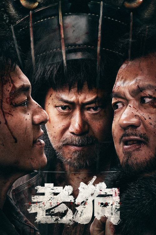 名称：老狗 (2025) 4K 高码描述：一心想要破获毒品大案的卧底警察东子，奉命潜伏到了每天想着退休的黑帮小头目狗哥身边，开始了一段有血有肉、卧底险中求的故事