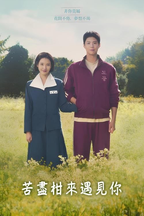 名称：苦尽柑来遇见你 (2025) 1080P 全集 内嵌简繁字幕描述：人称“干练的反抗者”的吴爱纯与绰号“固执的钢铁心”的梁宽植在济州岛经历四季更迭，谱出一段多姿多采的冒险人生，其中有挫败也有成功，更证明了爱能通过时间的考验