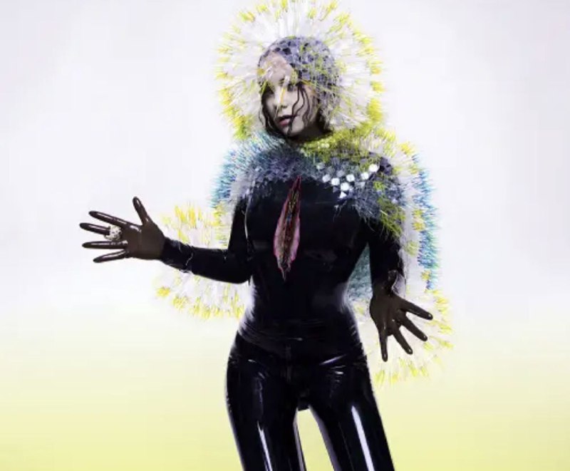 名称：Björk - 2015年专辑 - Vulnicura   Flac描述：比约克（冰岛语：Björk；1965年11月21日—，香港、马来西亚、台湾译为碧玉），全名比约克·格维兹门斯多蒂尔（Björk Guðmundsdóttir；冰岛语发音：[pjœr̥k ˈkvʏðmʏntsˌtouʰtɪr̥]），是一位冰岛创作歌手、乐器多面手，同时也是一位音乐制作人