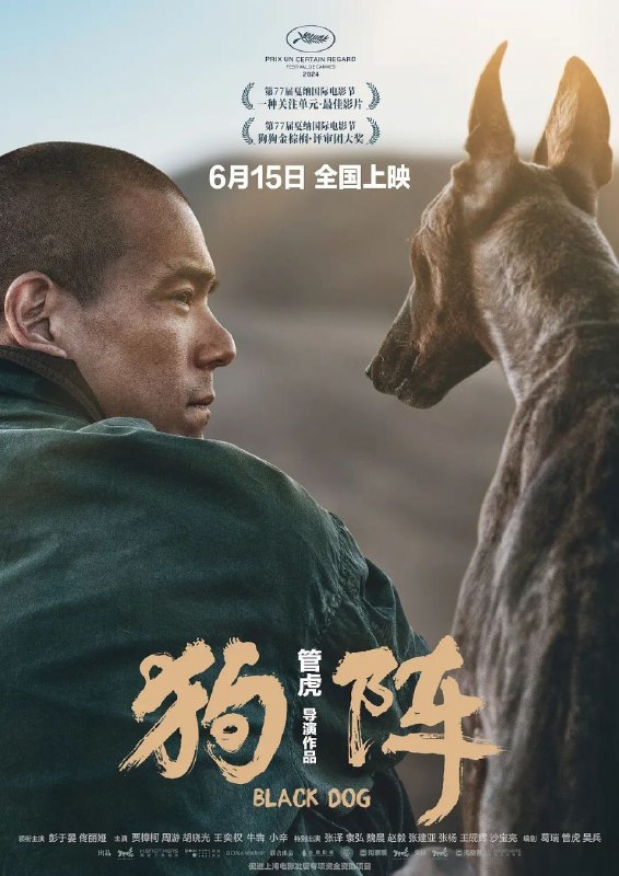 名称：狗阵 (2024) 4K描述：十余年前的西北小镇，刚出狱的二郎（彭于晏 饰）重归故土，面对偏见，面对防备，他不知该如何开启新生活