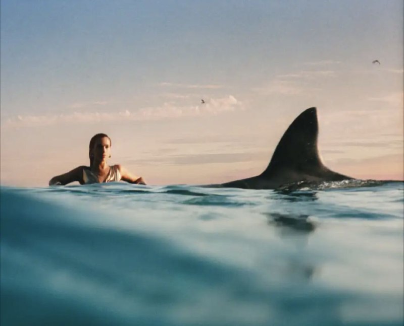 名称：Dua Lipa - 2024年专辑 - Radical Optimism   Flac描述：《Radical Optimism》是英裔阿尔巴尼亚歌手 Dua Lipa 的第三张录音室专辑，由华纳唱片于 2024 年 5 月 3 日发行