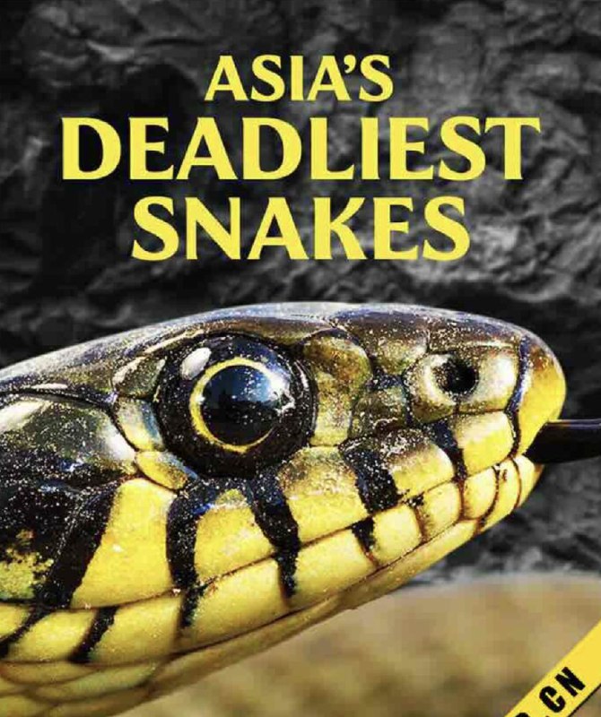 名称：亚洲毒蛇之最 (2010) 4K 中字硬字幕描述：蛇是地球上最可怕的生物之一，而亚洲是最容易被蛇咬伤的地区