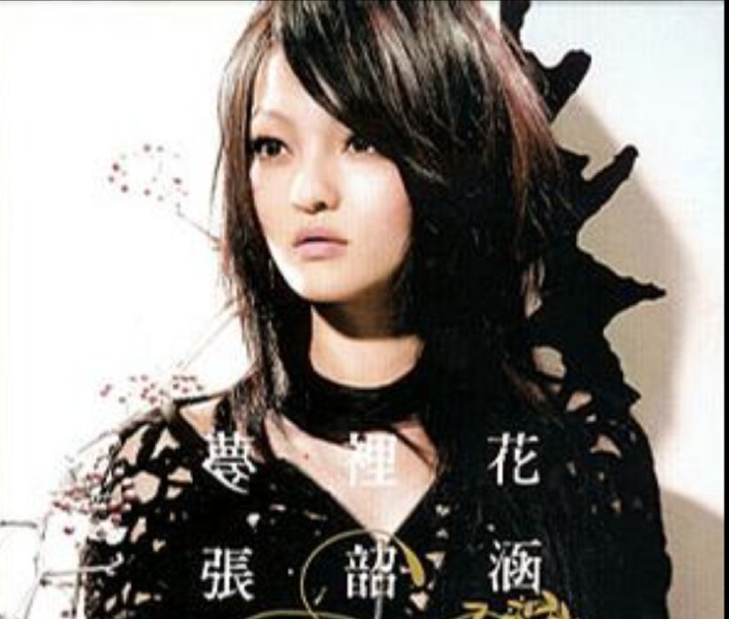 名称：张含韵 - 2007年专辑 - 梦里花   Flac描述：张韶涵红遍全亚洲的“隐形的翅膀”，俨然已成为华人地区传唱度最高的畅销曲，歌中带给大家向上与安定的力量，更让张韶涵歌声的感染力量，在乐坛展现亮眼成绩