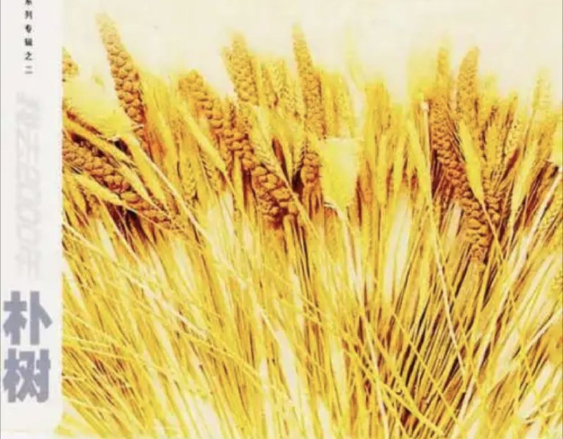 名称：朴树 - 2000年专辑 - 我去2000   Flac描述：朴树说出了我们想说但是一时又说不出来的东西