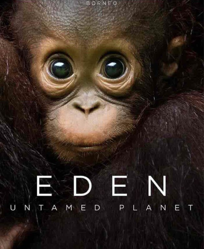 名称：伊甸园：最后的秘境 (2021) 4K 全集 中英硬字幕描述：遍寻天涯海角，前往地球上仅存的几处未经开垦的土地，探索它们的秘密，与蓬勃生机