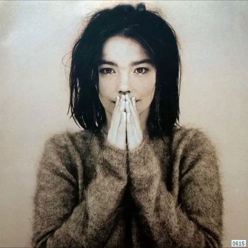 名称：Björk - 1993年专辑 - Debut   Flac描述：她的第一张专辑在日本发行，其中包括英国版附赠曲目“Play Dead”以及日本版附赠曲目“Atlantic”