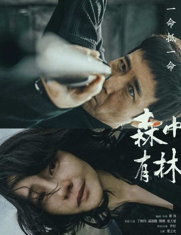 名称：电影：森中有林 (2026)描述：廉加海（于和伟 饰）被吕新开（韩庚 饰）意外打瞎了一只眼，没能赴约错过了爱人王秀义（高圆圆 饰）