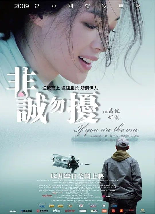 名称：非诚勿扰 (2008) 4K描述：海归秦奋（葛优 饰）的天才发明“分歧终端机”因能公平和平地解决人类分歧，被风投者以200万英镑高价买走