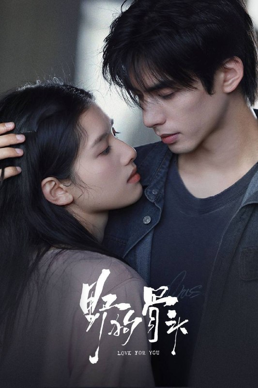 名称：野狗骨头（2026）4K S01完结描述：改编自休屠城同名小说，由宋威龙、张婧仪主演