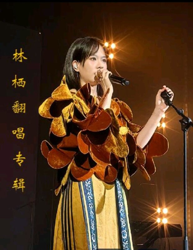 名称：林栖《林栖翻唱精选集》FLAC描述：新生代国语流行女歌手林栖，凭借扎实科班唱功与深情翻唱走红