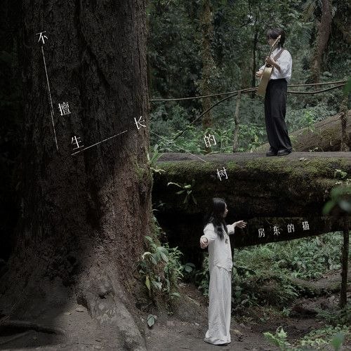 名称：房东的猫 不擅生长的树 (Isness) (2026) FLAC 24bit 48khz 13首描述：01.树人的梦境02.好孤独03.她从梦中苏醒04.不擅生长的树05.河与流06.我还能看见多少次满月升起07.现实之舞08.轻盈法则09.Emily，生命是件神奇的事10.给遥远的你11.请对我讲12.我们拥有一扇门吗13.旁观诗人百度：