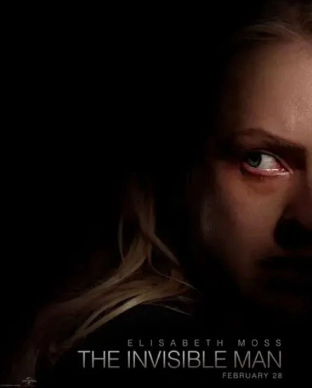 名称：隐形人 (2020) 4K HDR & Dv 外挂简中字幕描述：《隐形人》是由美国环球影业出品的惊悚片，改编自英国作家赫伯特·乔治·威尔斯1897年的科幻小说以及1933年的同名电影