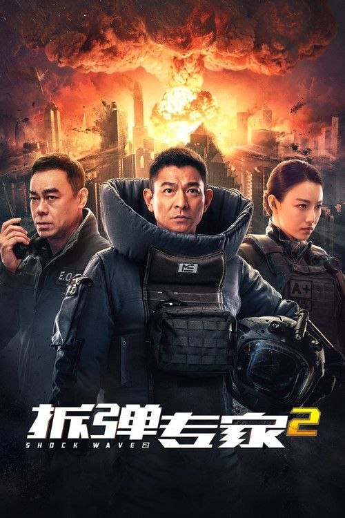 名称：【原盘】拆弹专家2 (2020) 4K REMUX 国粤多音轨 内封简繁字幕描述：香港某处发生爆炸案，前拆弹专家潘乘风（刘德华 饰）因昏迷于现场，被警方怀疑牵涉其中