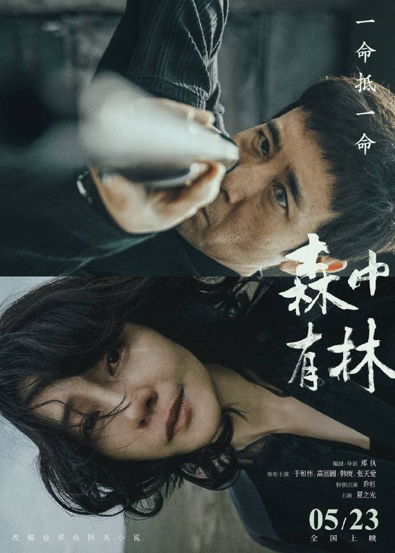 名称：森中有林（2026）4K 臻彩MAX+ 60FPS DTS环绕声 内嵌简中描述：下岗狱警廉加海（于和伟 饰）与昔日爱人王秀义（高圆圆 饰）多年后重逢，旧情复燃之际，却意外卷入一场被精心掩盖的凶案——两个家、三代人，就此陷入横跨数十年的生死纠葛、爱恨痴缠