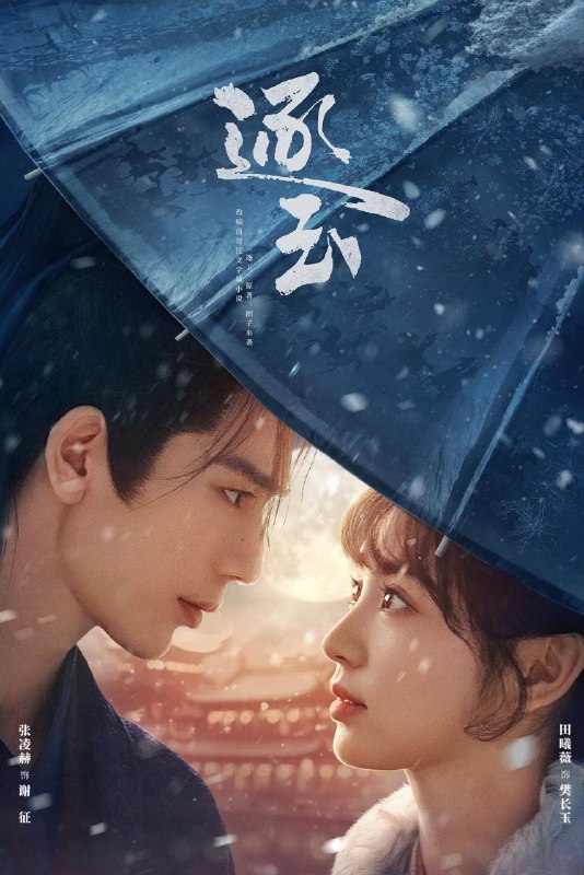 名称：逐玉 (2026) 4K DoVi 高码率 [HDR.Vivid.60fps] [杜比全景声] [更新19集]描述：该剧改编自晋江文学城团子来袭的小说《逐玉》