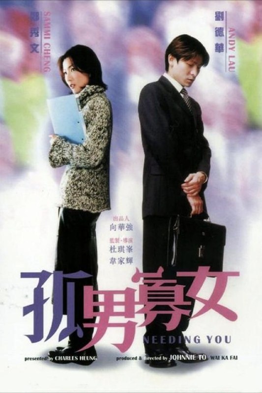 名称：孤男寡女 (2000) 1080P 国粤多音轨 内封中文字幕描述：华少（刘德华 饰）是一个潇洒风流的电脑公司高层，公司里的一个小职员令他十分头痛