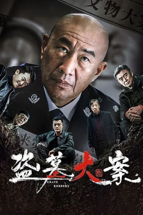 名称：盗墓大案 (2026) 4K 高码描述：这是一部讲述公安干警李方中、铁鹤等舍生忘死与盗墓团伙头目“老祖”斗智斗勇，最终将其擒获并把所有盗墓团伙一网打尽，追回并保护了国宝、文物的影片