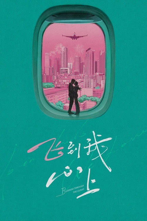名称：飞到我心上 (2026) 4K 高码率 [SDR&HDR] [无台标] [更新12集]描述：阮思娴因航空公司取消飞行员培训计划而辞职学飞，三年后以优异成绩毕业并踏上机长之路