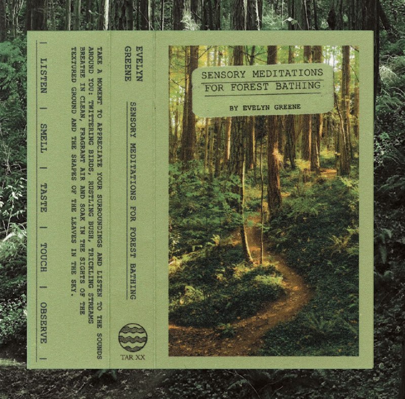 名称：Evelyn Greene - Sensory Meditations For Forest Bathing (2025) FLAC 24bit 44kHz描述：《Sensory Meditations For Forest Bathing》是Evelyn Greene博士推出的新世纪环境冥想专辑，专为森林浴疗愈而作